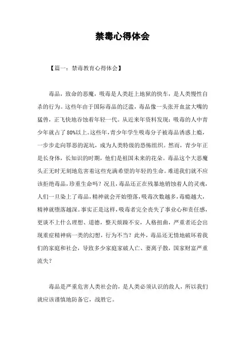 禁毒心得体会 2