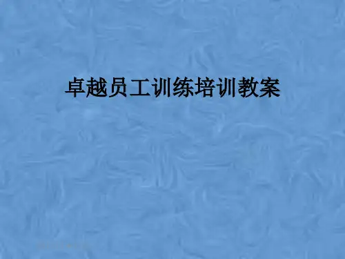 卓越员工训练培训教案