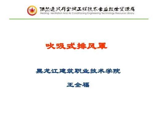 吹吸式排风罩(wk)