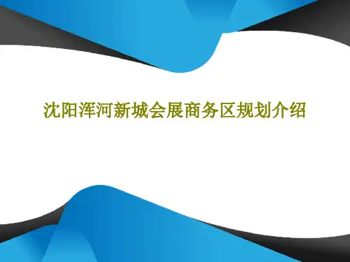 沈阳浑河新城会展商务区规划介绍共24页文档