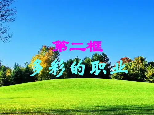 人教版《道德与法治》九年级下册 6.2 多彩的职业 课件(共41张PPT)