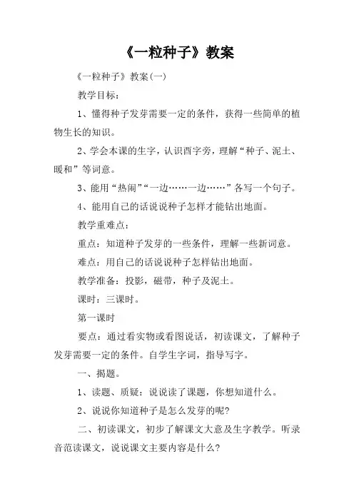 《一粒种子》教案