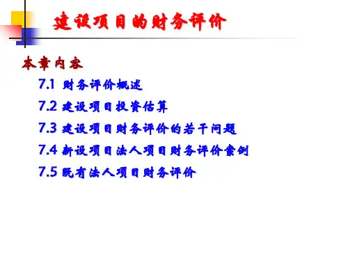 建设项目的财务评价-PPT精品.ppt