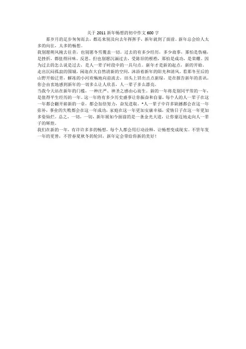 关于新年畅想的初中作文600字