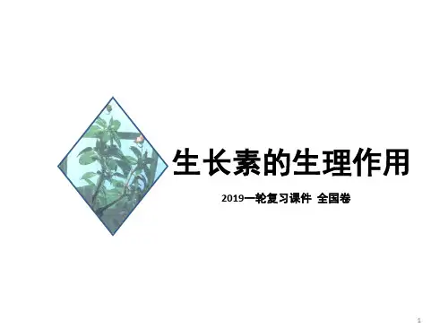 生长素的生理作用(高三一轮复习)(课堂PPT)