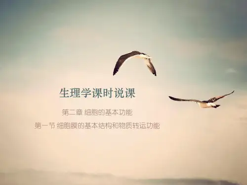 生理学课时说课