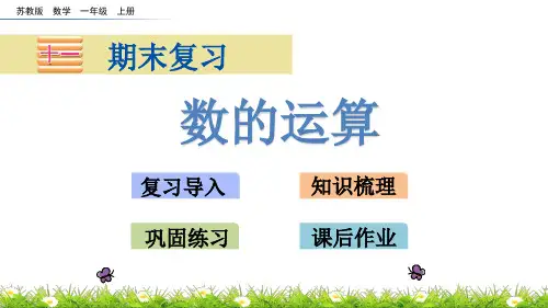苏教版一年级上册数学《数的运算》