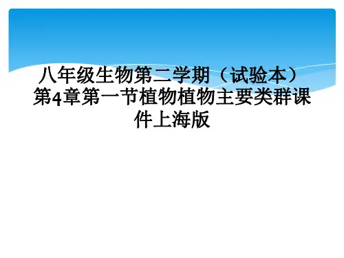 八年级生物第二学期(试验本)第4章第一节植物植物主要类群课件上海版
