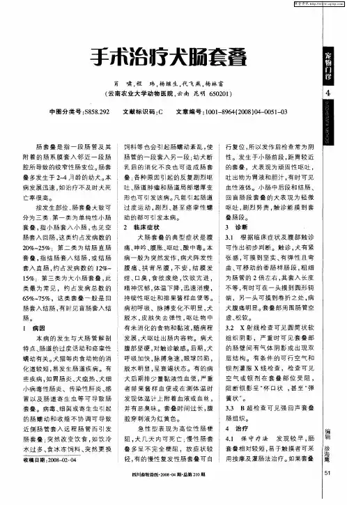 手术治疗犬肠套叠