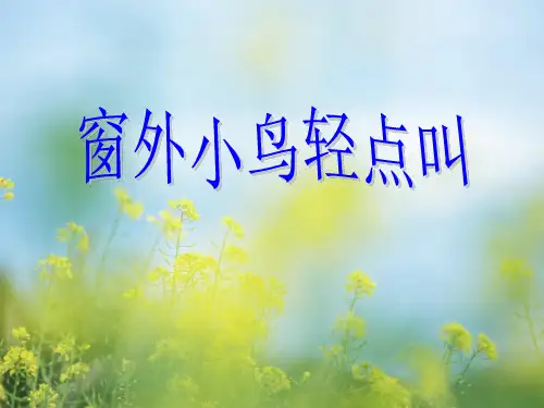 教科版窗外小鸟轻点叫中小学PPT教学课件
