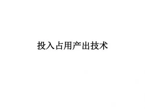 投入占用产出技术