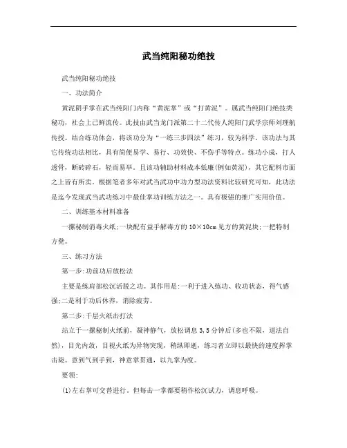 武当纯阳秘功绝技