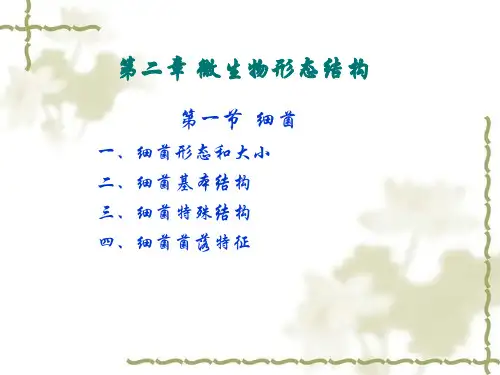 微生物形态结构.