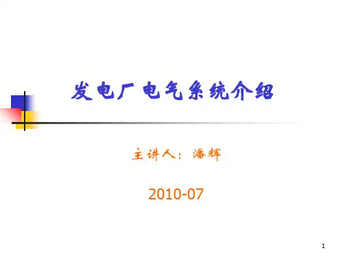 (精选)发电厂电气系统介绍