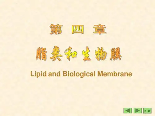 第四章脂类和生物膜