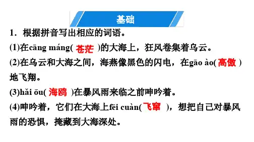 第1单元 4 海燕 讲练课件—2020年秋部编版九年级语文下册