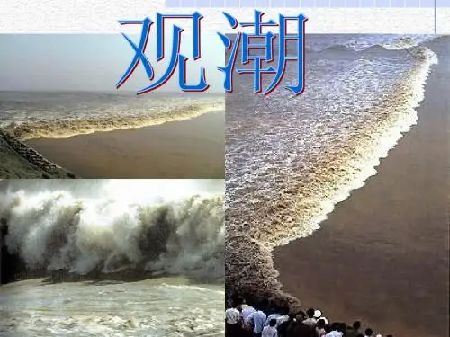 四年级语文上册 1.观潮