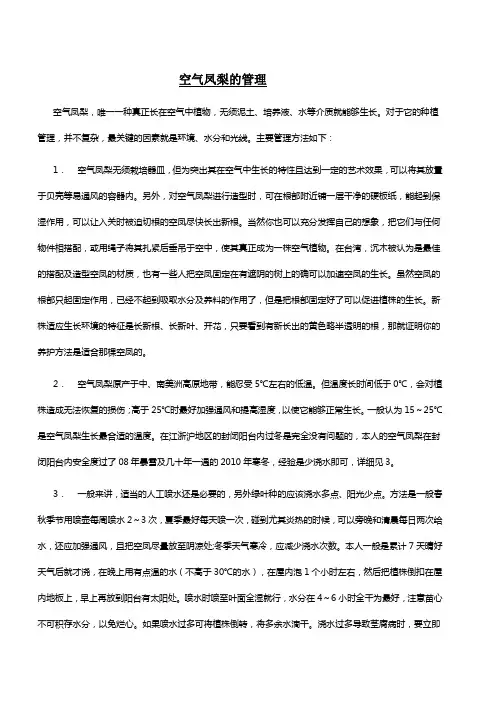 空气凤梨的管理