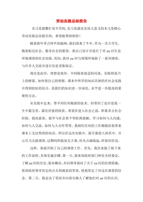 劳动实践总结报告