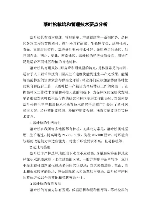 落叶松栽培和管理技术要点分析