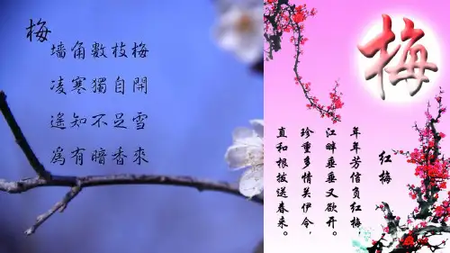 《梅花魂》课件完美版1
