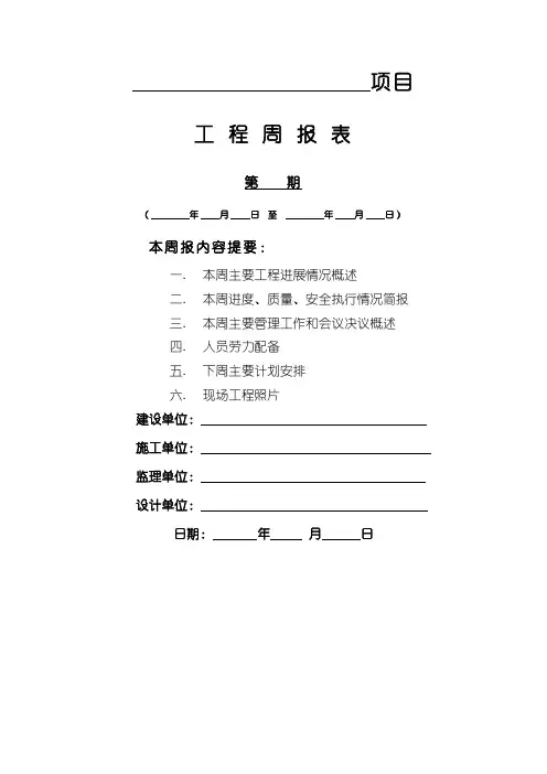 建筑工程周报表模板 2