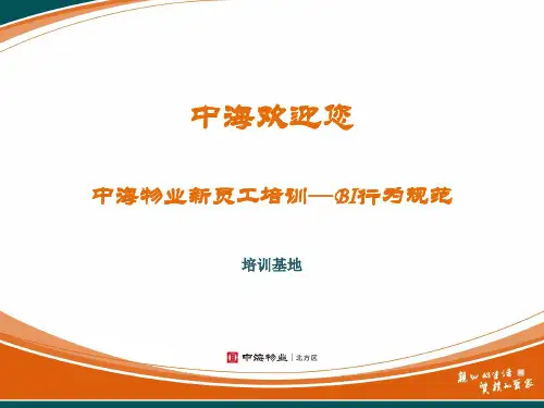 BI行为规范