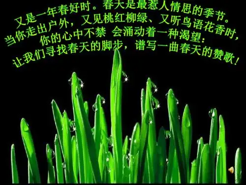 寻觅春天的踪迹(优秀课件) 2 (2)