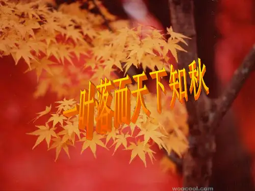 部编版小学语文(一年级上册语文)部编版《秋天》教学课件ppt.ppt