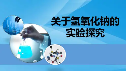 2017年中考化学二轮专题复习氢氧化钠变质的探究PPT课件1 人教版优质课件