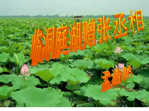 《临洞庭湖赠张丞相》带翻译实用版