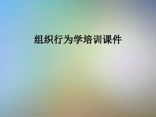 组织行为学培训课件