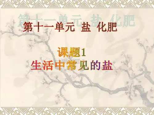 生活中常见的盐(3课时)