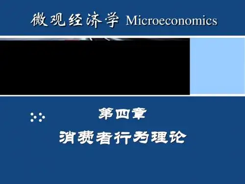 4 消费者行为理论