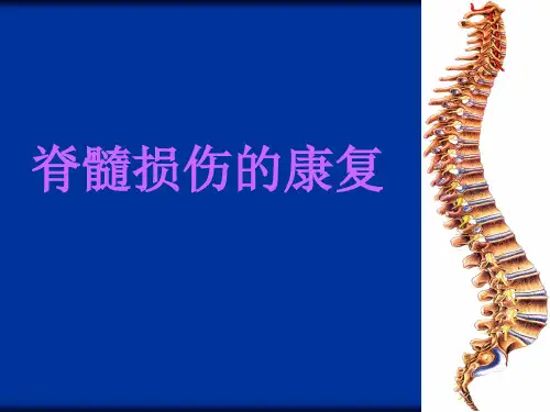 脊髓损伤的康复