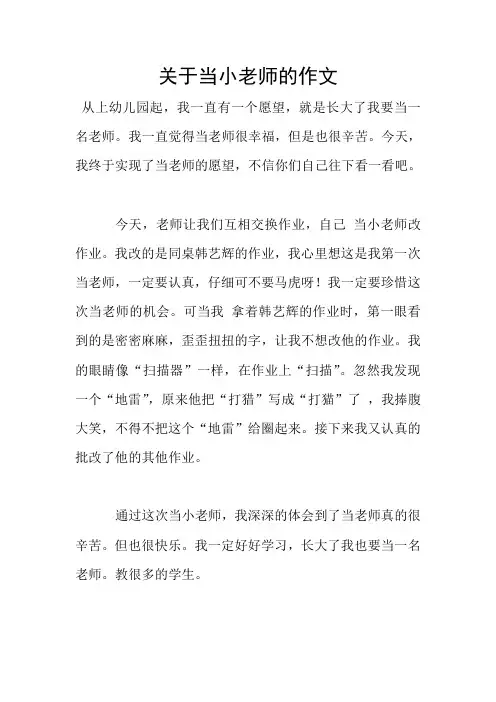 关于当小老师的作文