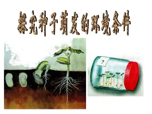 种子萌发的条件——探究实验