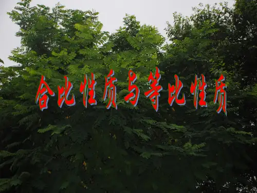 合比性质和等比性质[优质ppt]