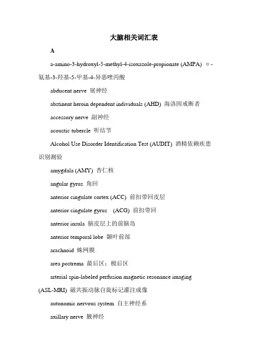 大脑词汇翻译(整理)