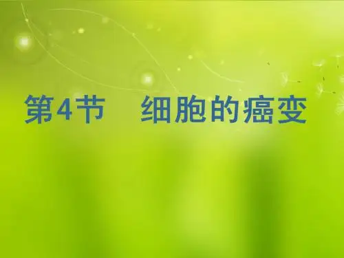 高中生物《第六章 第四节 细胞的癌变》课件2 新人教版必修1