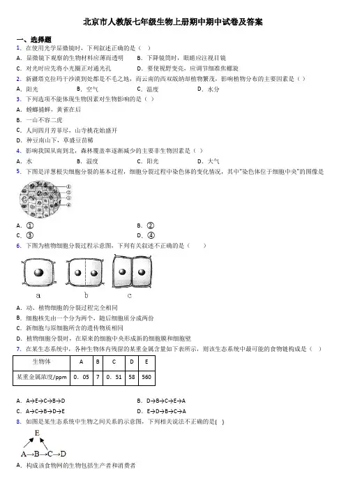 北京市人教版七年级生物上册期中期中试卷及答案