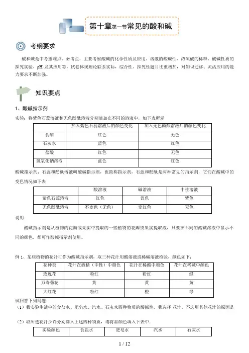 第十章第一节常见的酸和碱