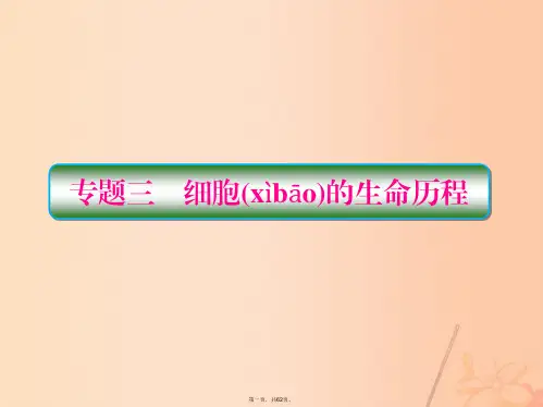 高三生物二轮复习专题三细胞的生命历程第1讲细胞的增殖和受精作用课件