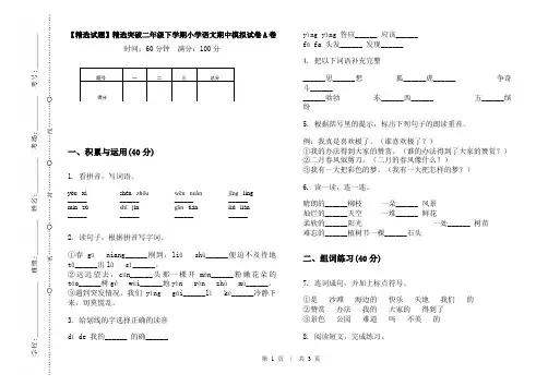 【精选试题】精选突破二年级下学期小学语文期中模拟试卷A卷