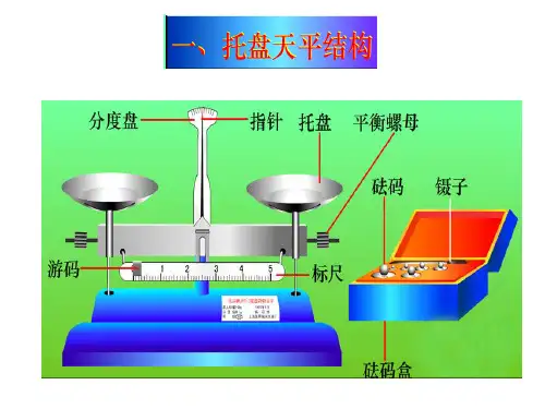 天平和量筒