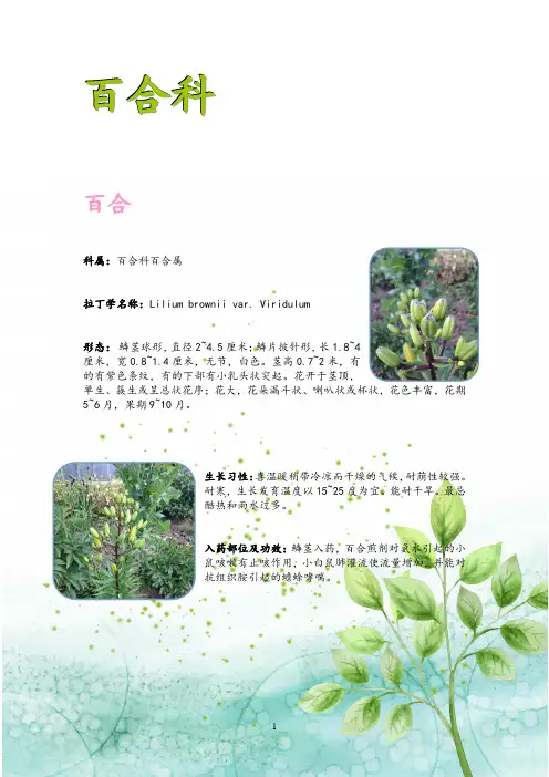 植物图鉴1-7(1)