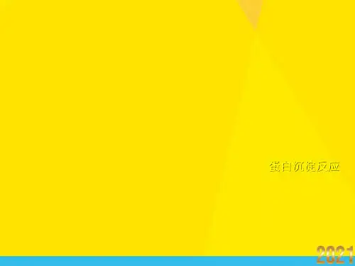 蛋白沉淀反应