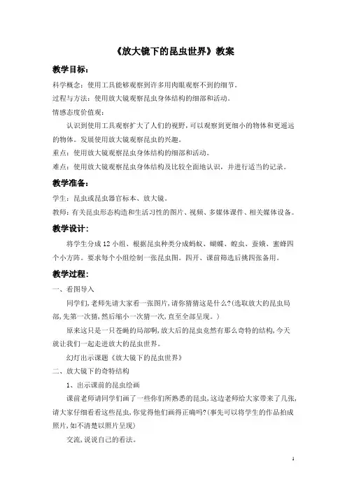 教科版六年级科学下册第一单元《放大镜下的昆虫世界》教案