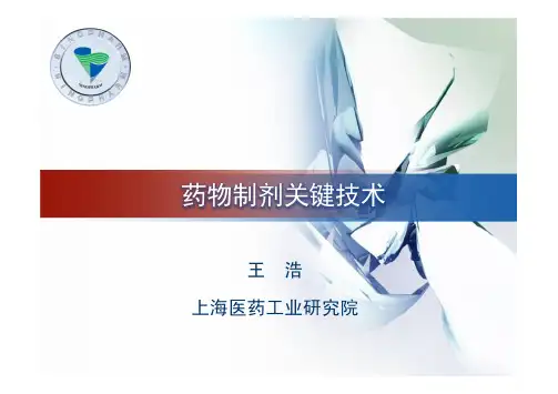 药物制剂关键技术