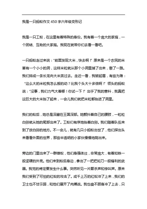 我是一只蚂蚁作文450字六年级变形记